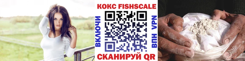 КОКАИН Fish Scale  Сольвычегодск 