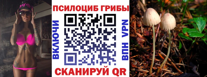 Галлюциногенные грибы Psilocybe KRAKEN сайт Сольвычегодск